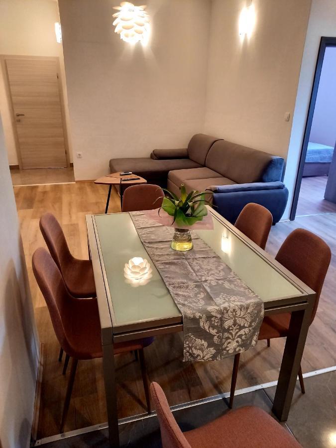Apartment Lea Mataija ノヴィ・ヴィノドロスキー 部屋 写真